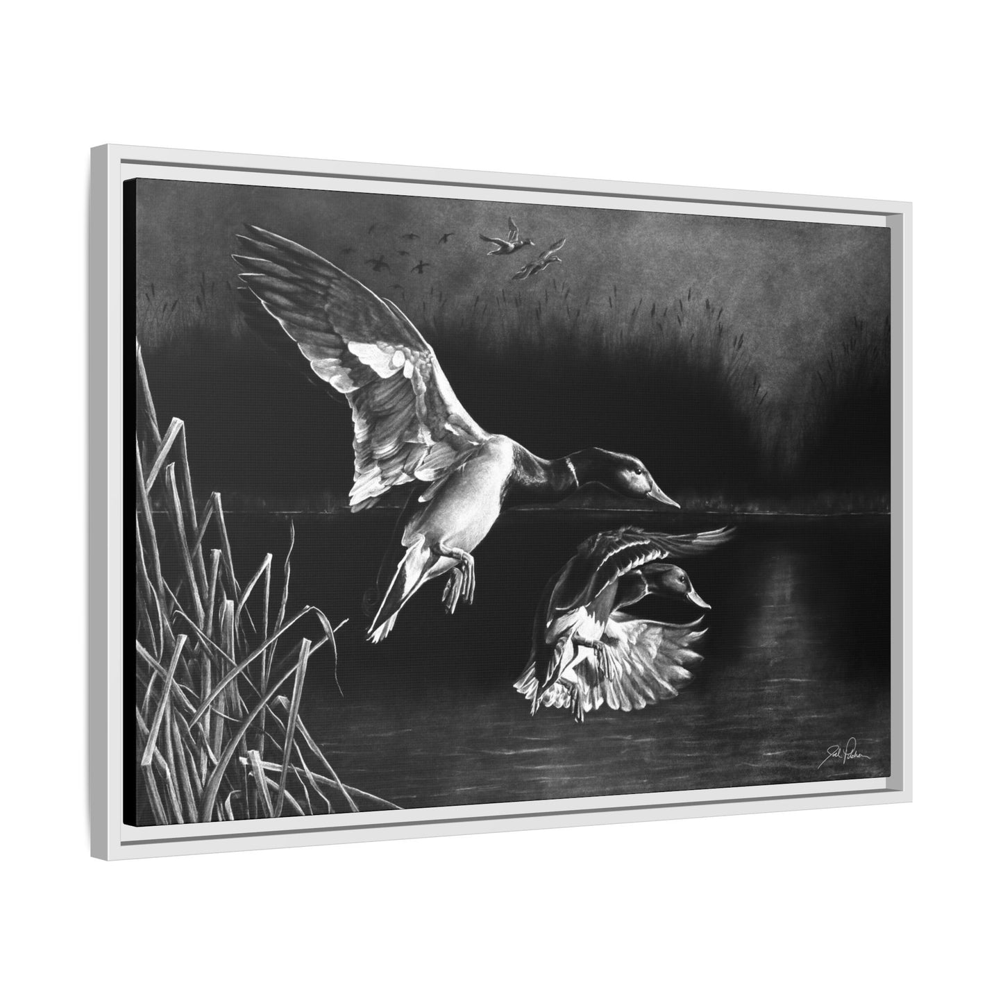 "Banded Brothers" Framed Canvas