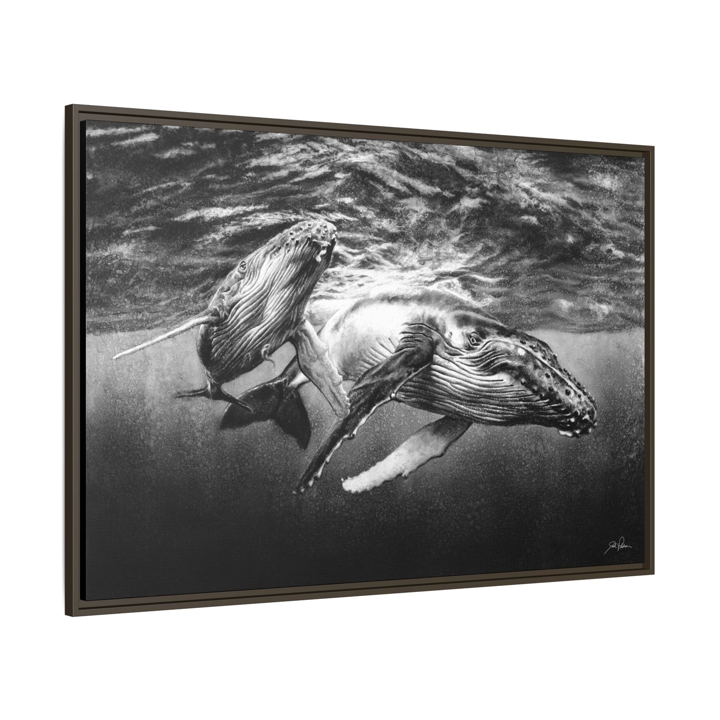 "Humpback Whales" Framed Canvas