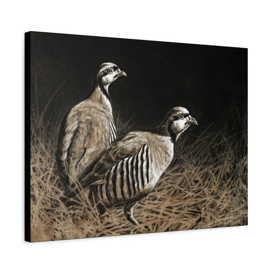 "Chukars" Stretched Canvas