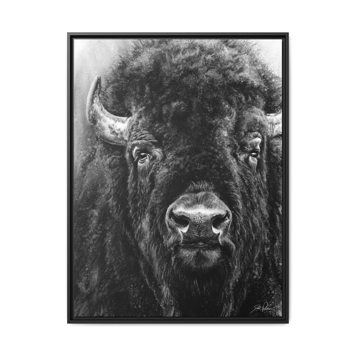 "Tatanka" Framed Canvas