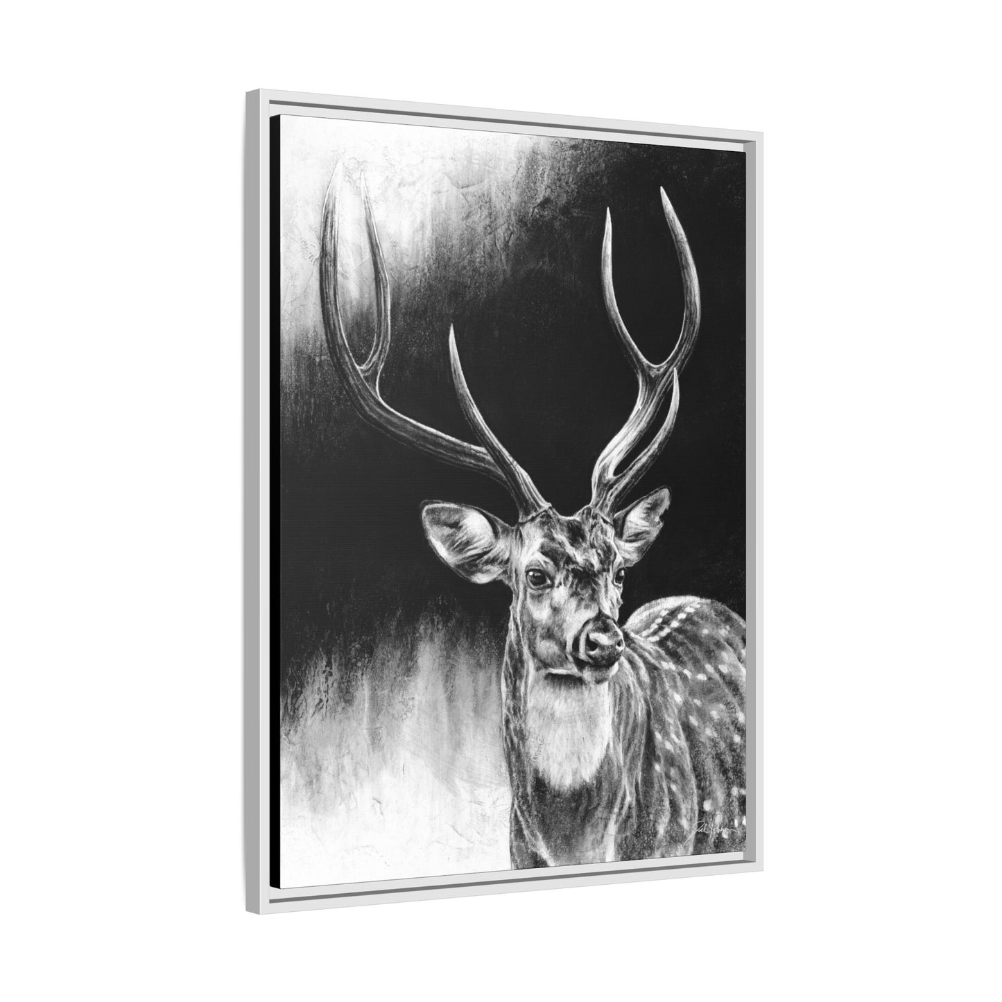 "Axis Buck" Framed Canvas