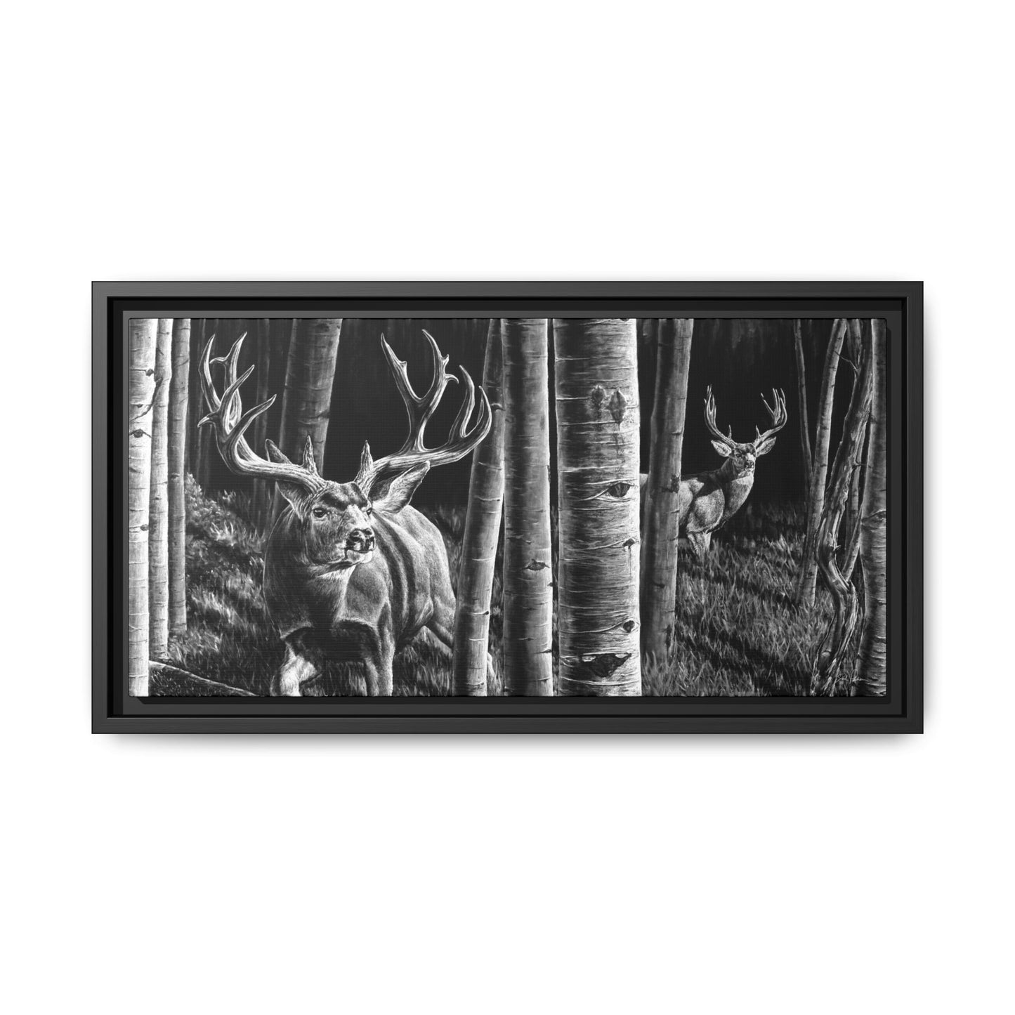 "Out of the Shadows" Framed Canvas