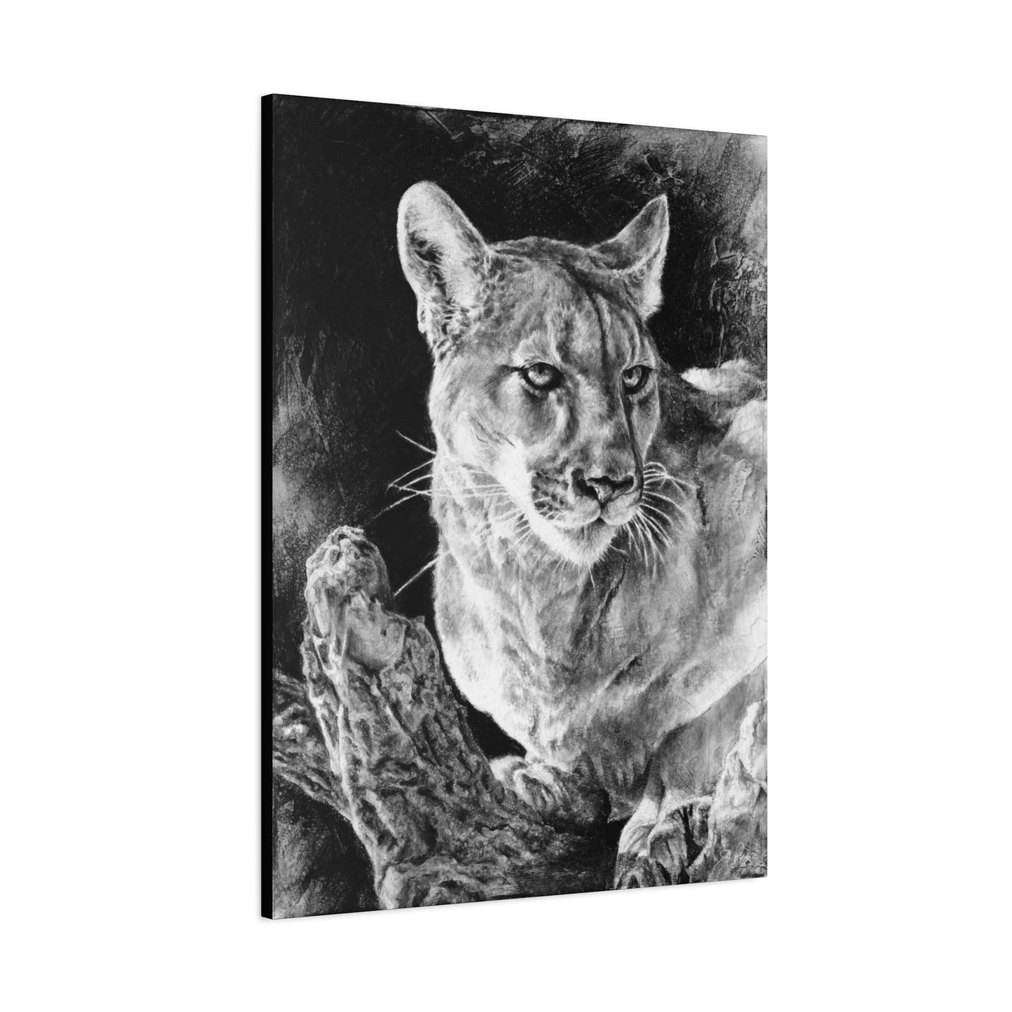 "Mountain Lion" Stretched Canvas