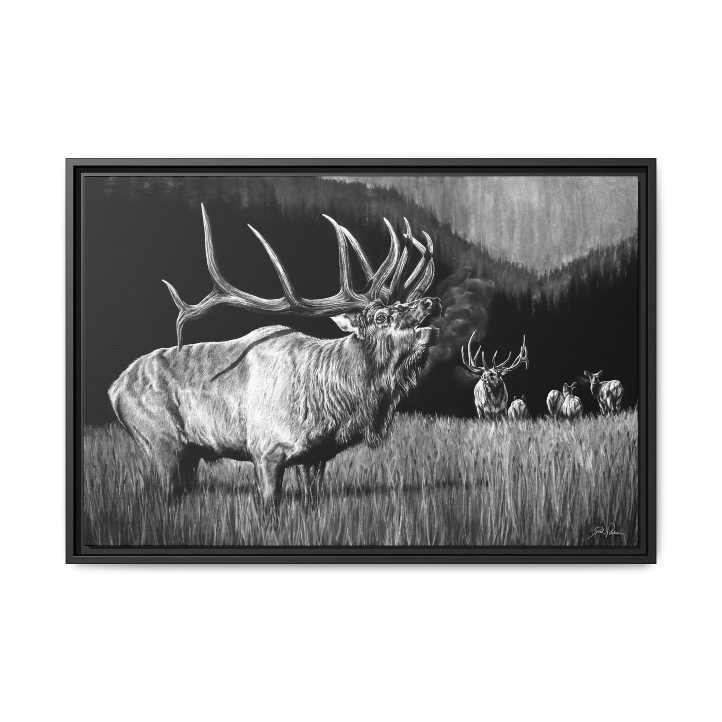"The Contender" Framed Canvas