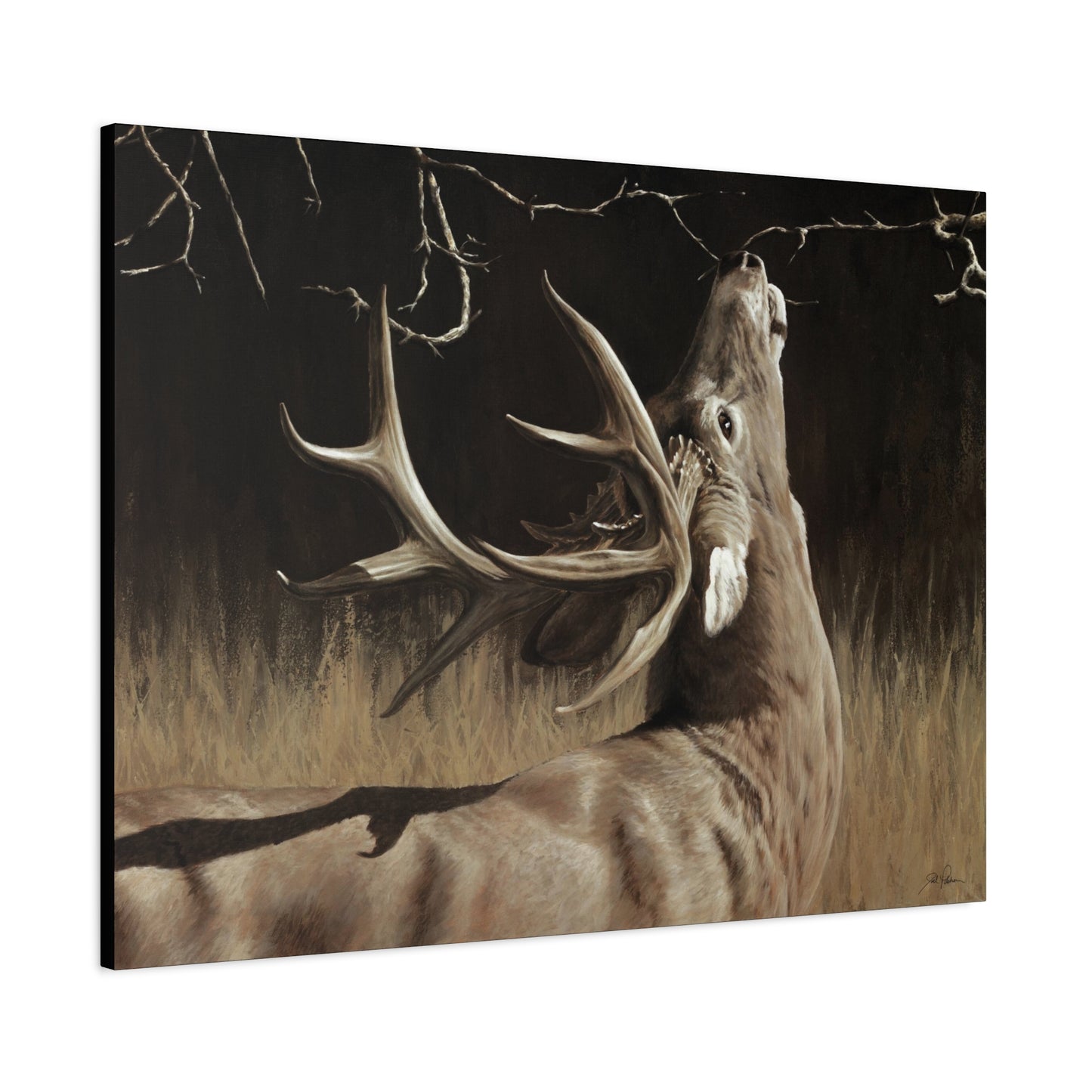 "Calling Card" Stretched Canvas