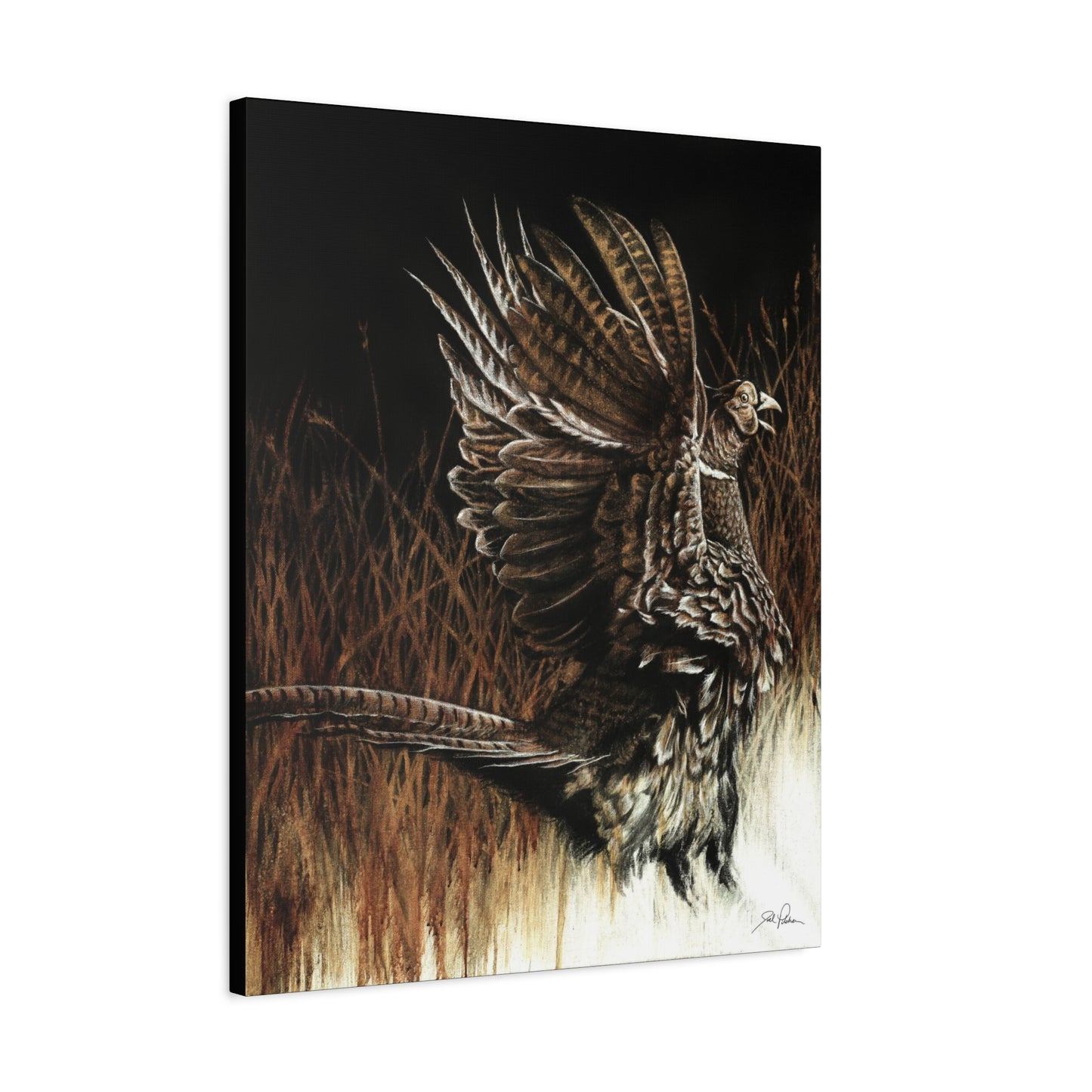 "Call of the Upland Pheasant" Stretched Canvas