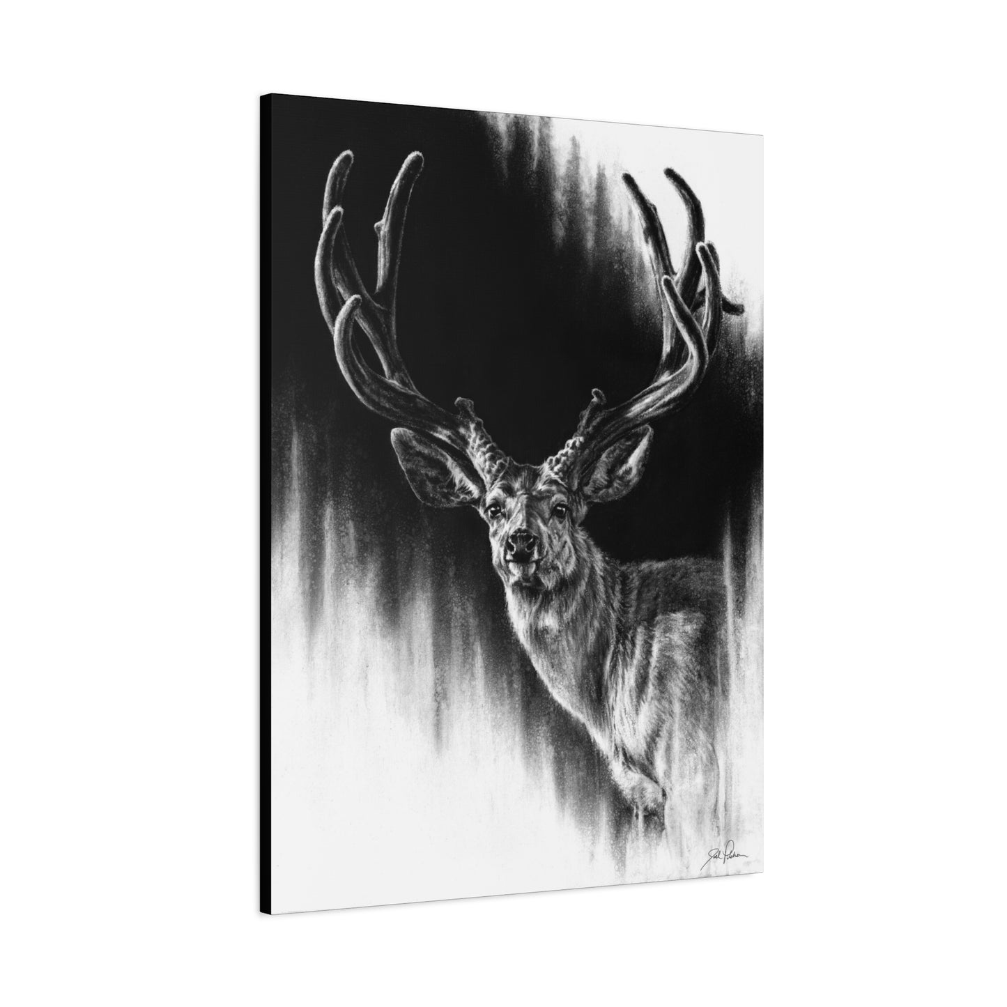 "Summer Swag" Stretched Canvas
