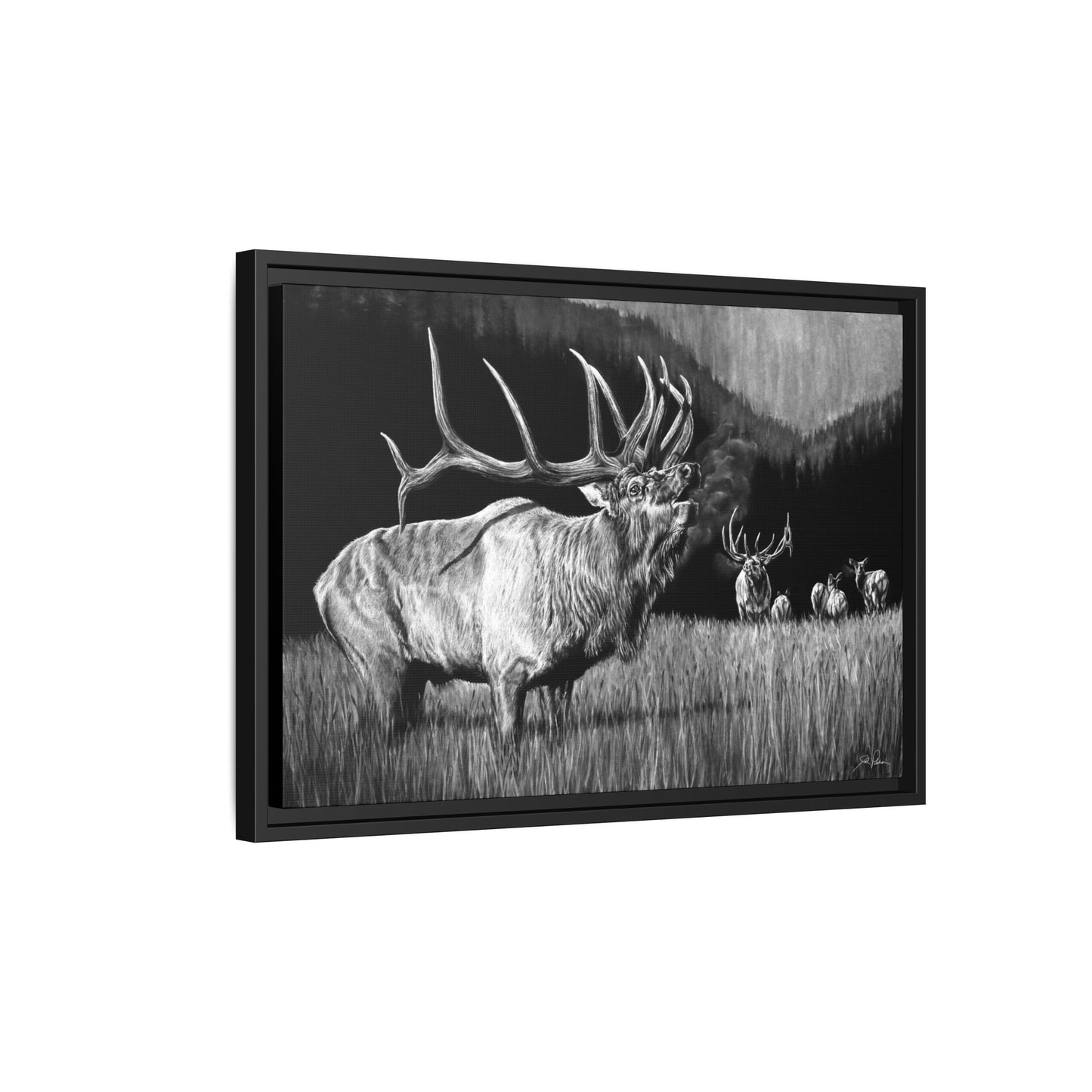 "The Contender" Framed Canvas