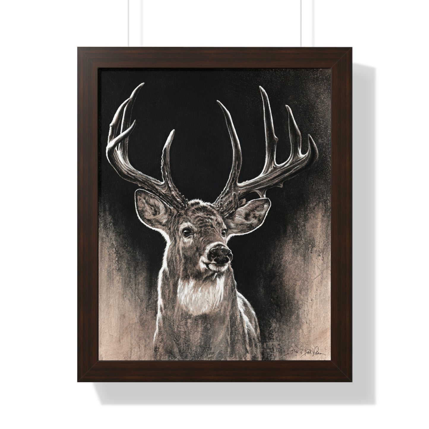 "Backlit Buck" Framed Paper Print