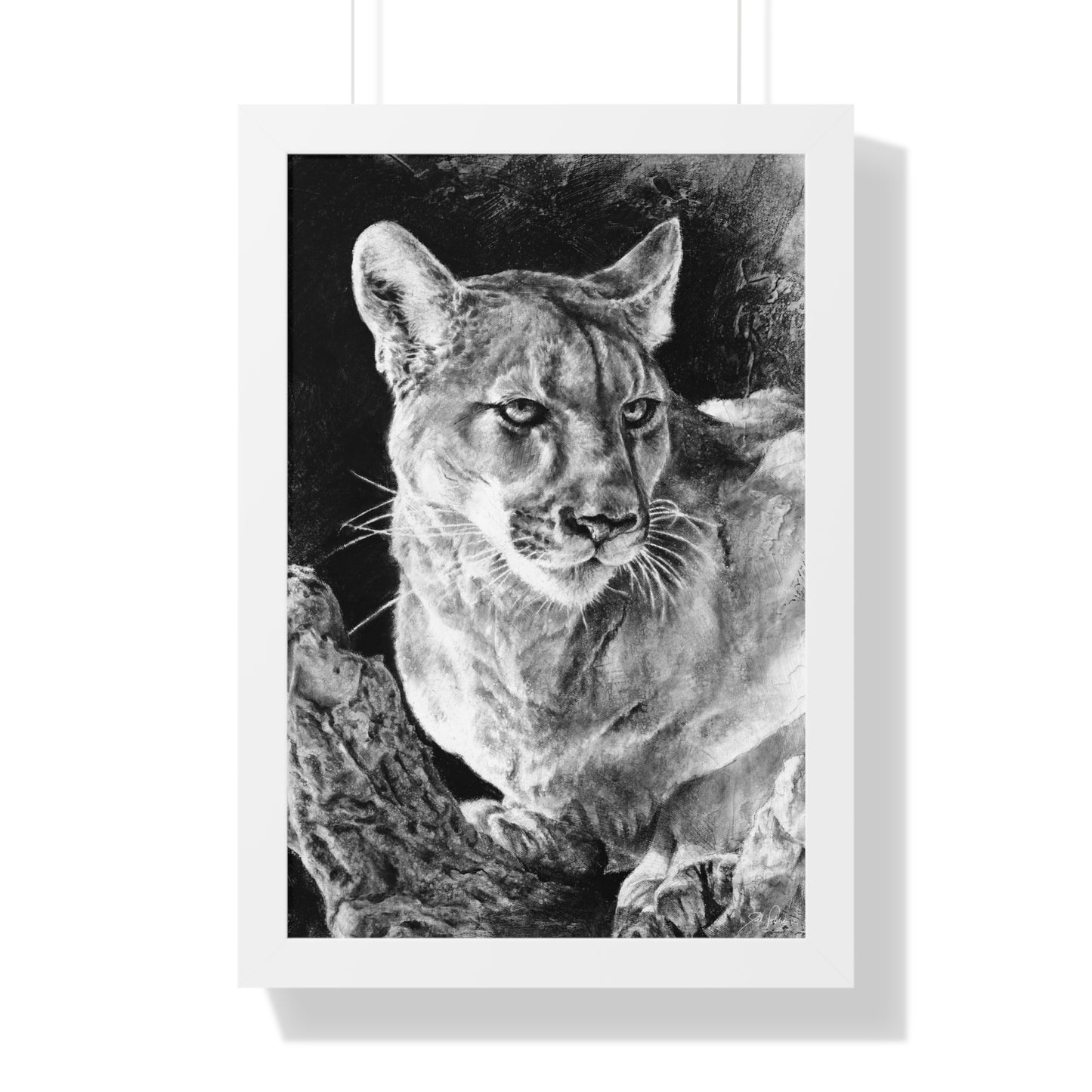 "Mountain Lion" Framed Paper Print