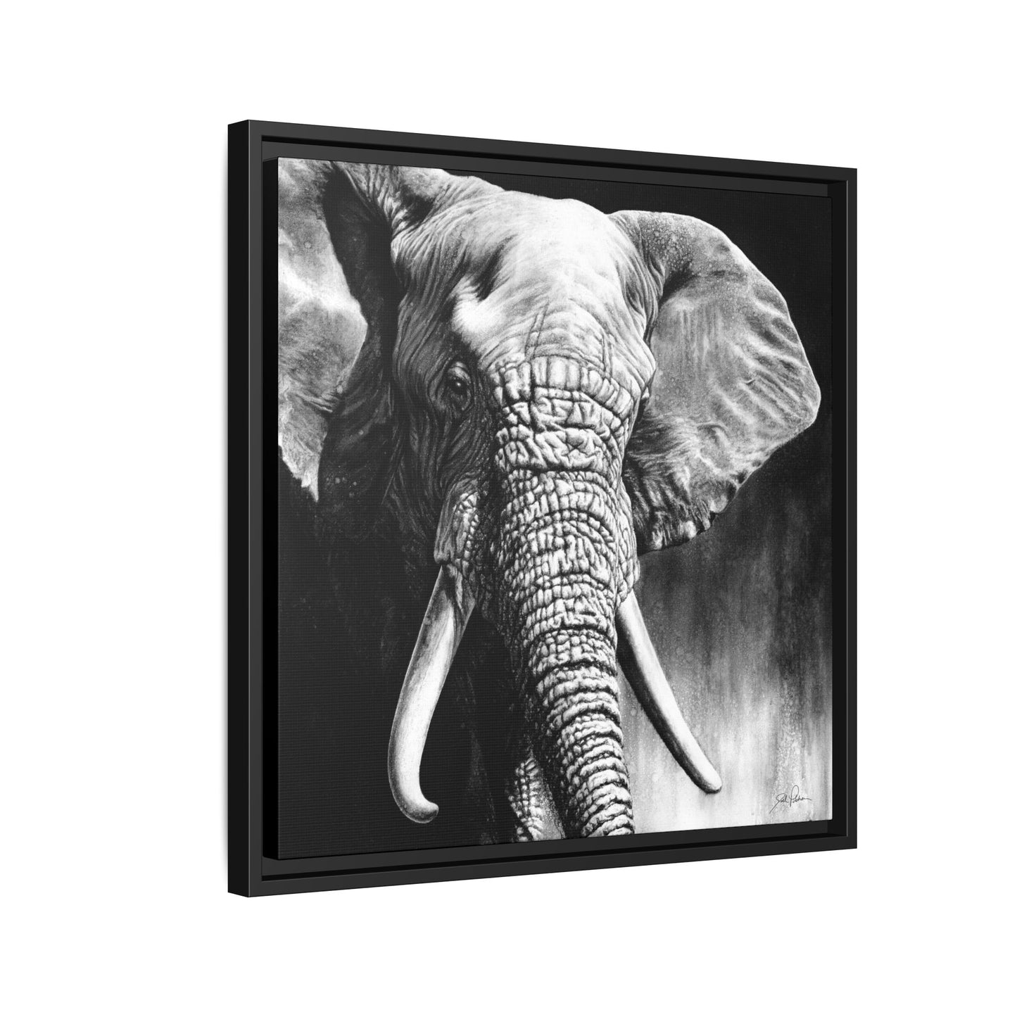 "High & Mighty" Framed Canvas