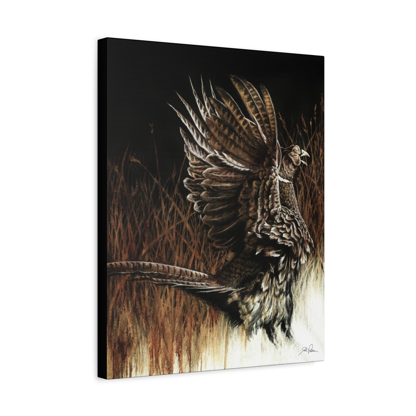 "Call of the Upland Pheasant" Stretched Canvas
