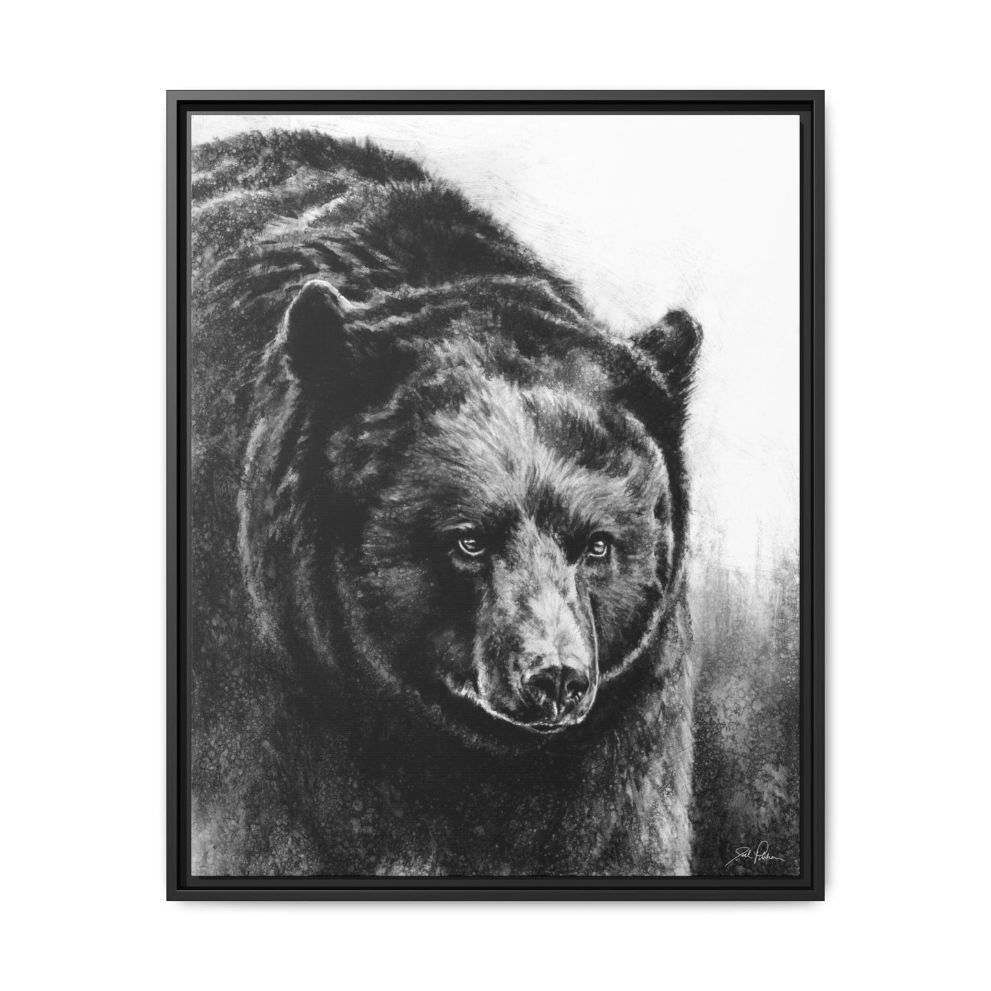 "Black Bear" Framed Canvas
