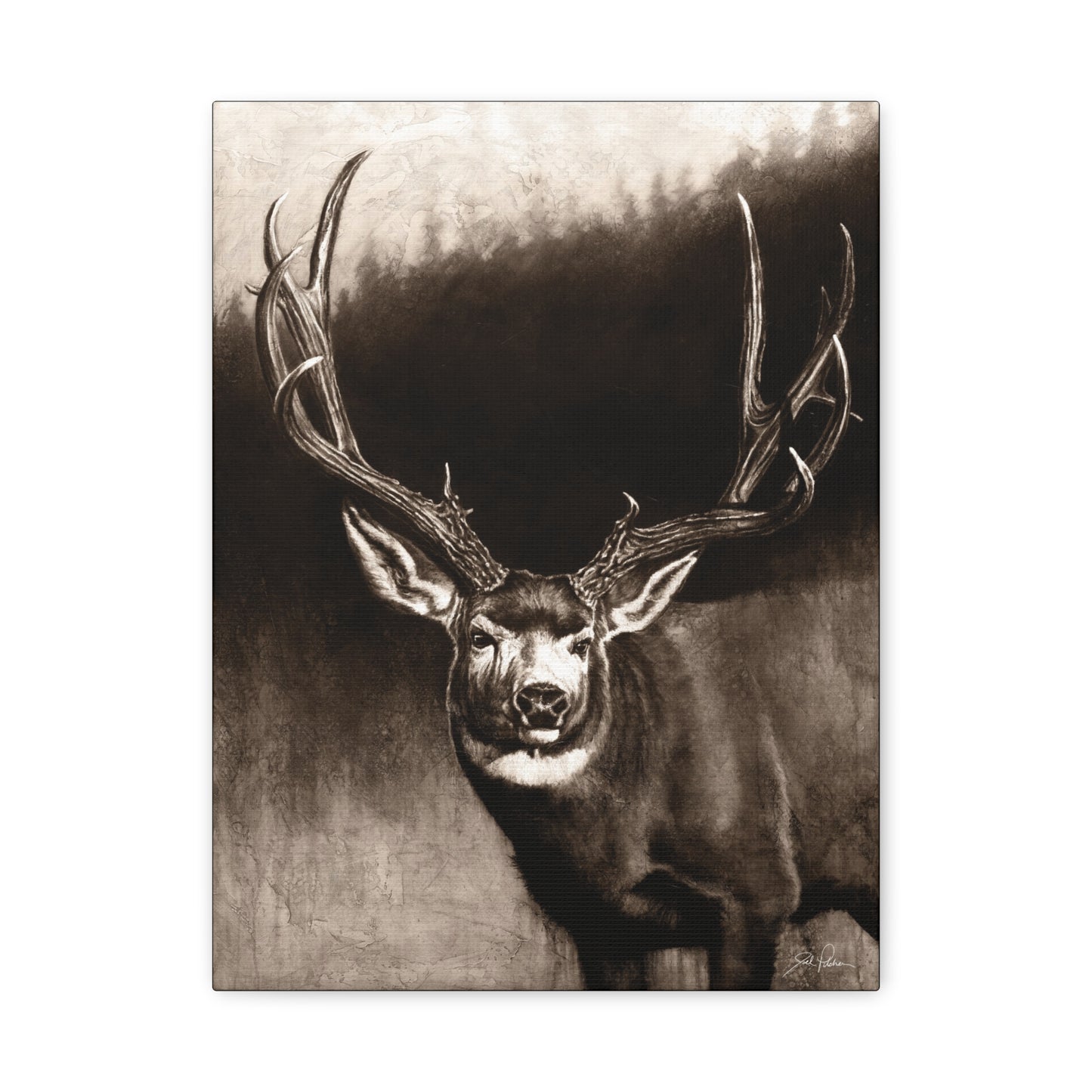 "Muley" Stretched Canvas