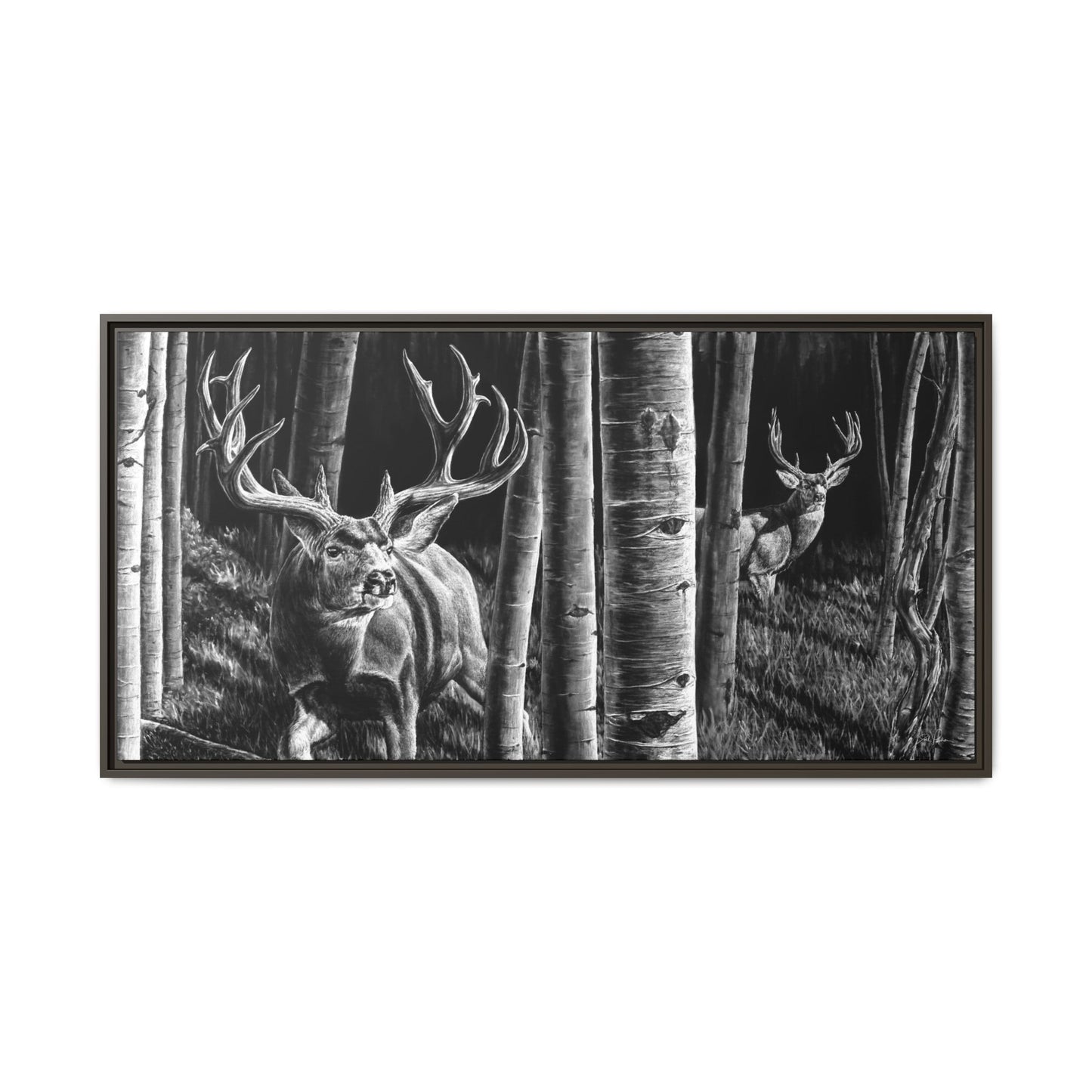 "Out of the Shadows" Framed Canvas