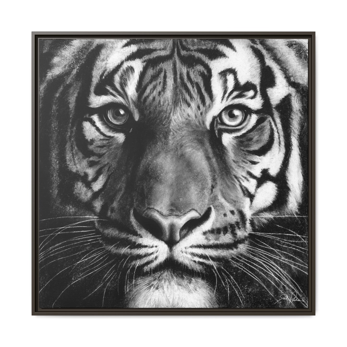 "Tiger" Framed Canvas