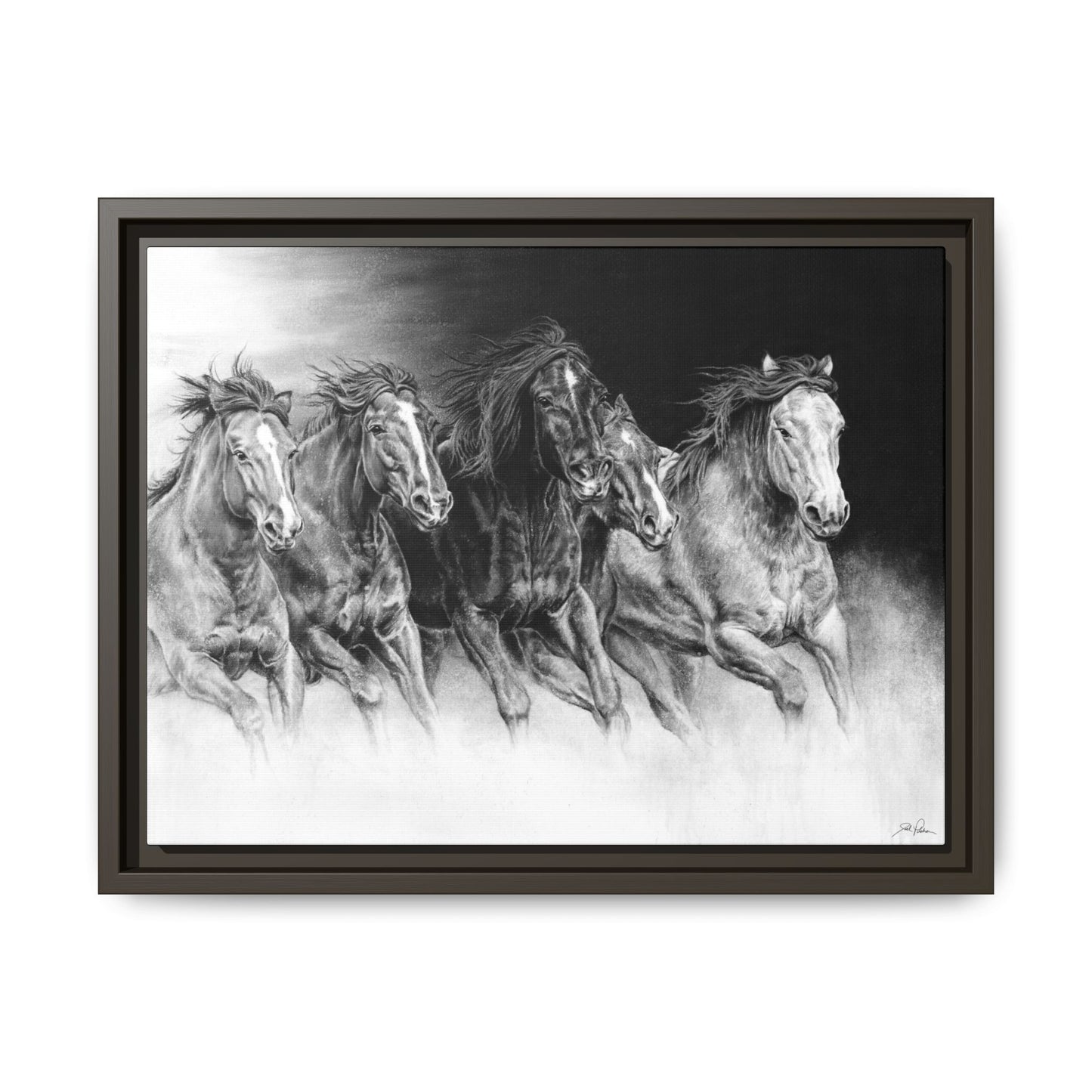 "Wild Bunch" Framed Canvas