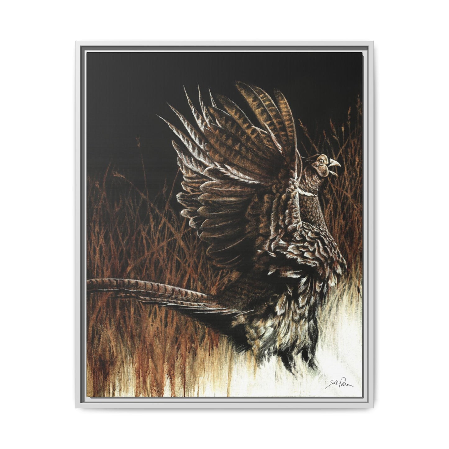 "Call of the Upland Pheasant" Framed Canvas