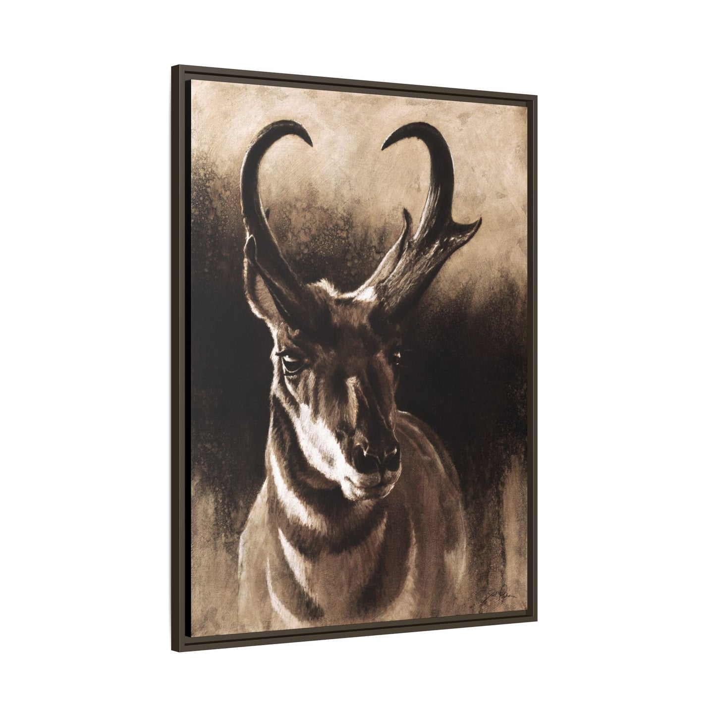 "Pronghorn" Framed Canvas