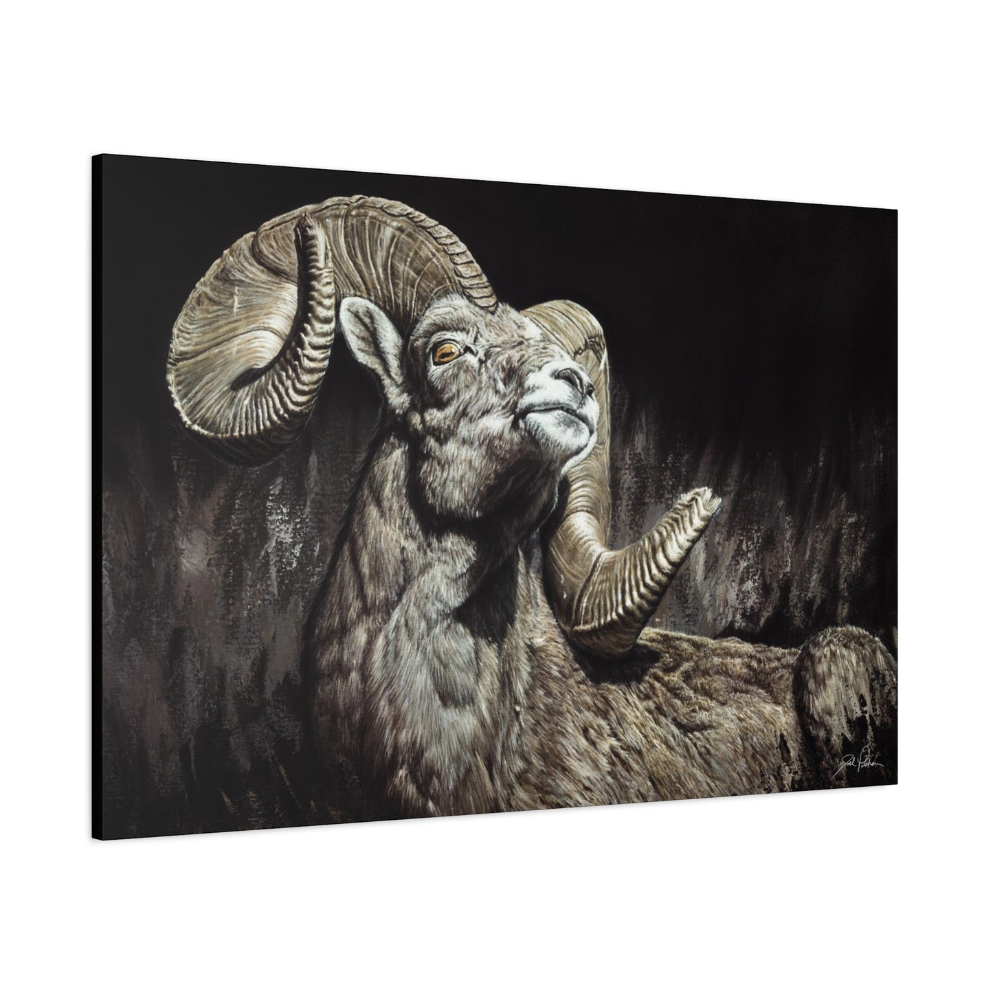 "Golden Eye" Stretched Canvas