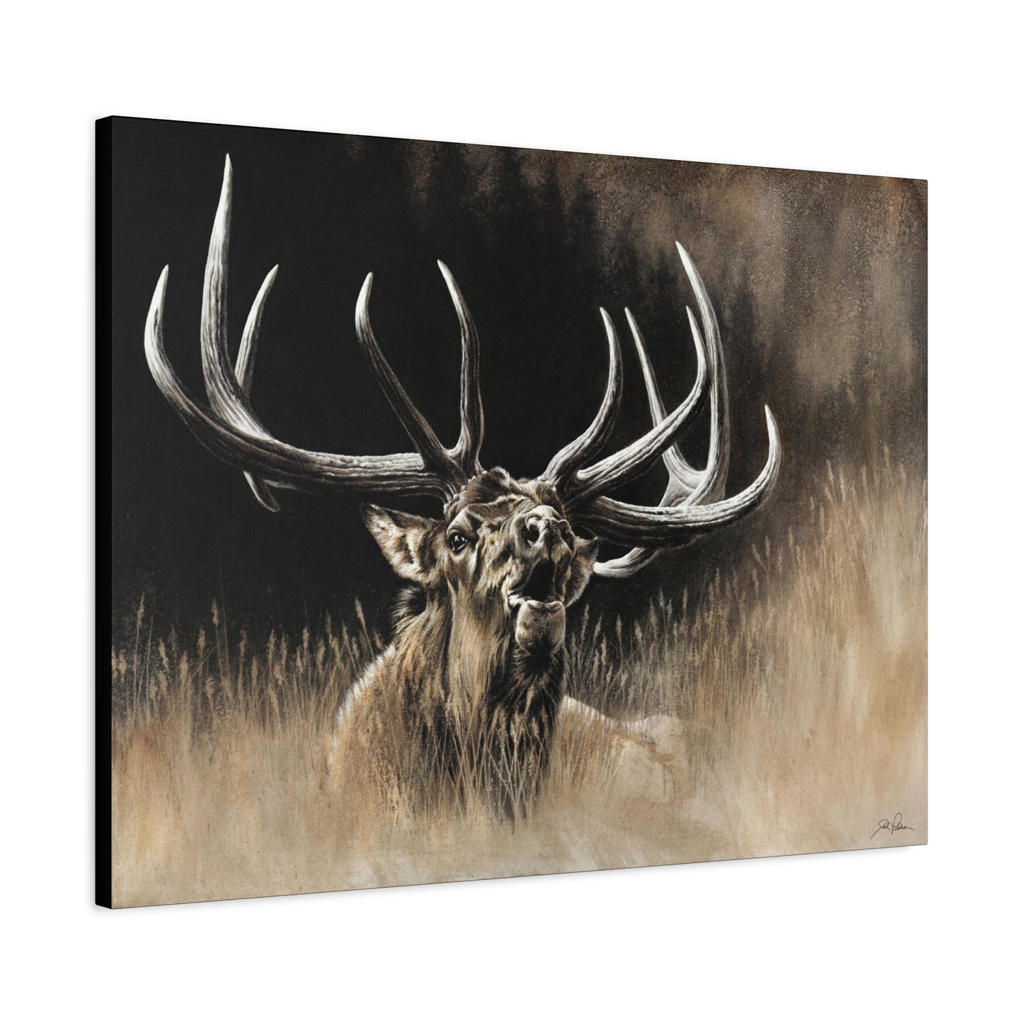 "Wake Up Call" Stretched Canvas