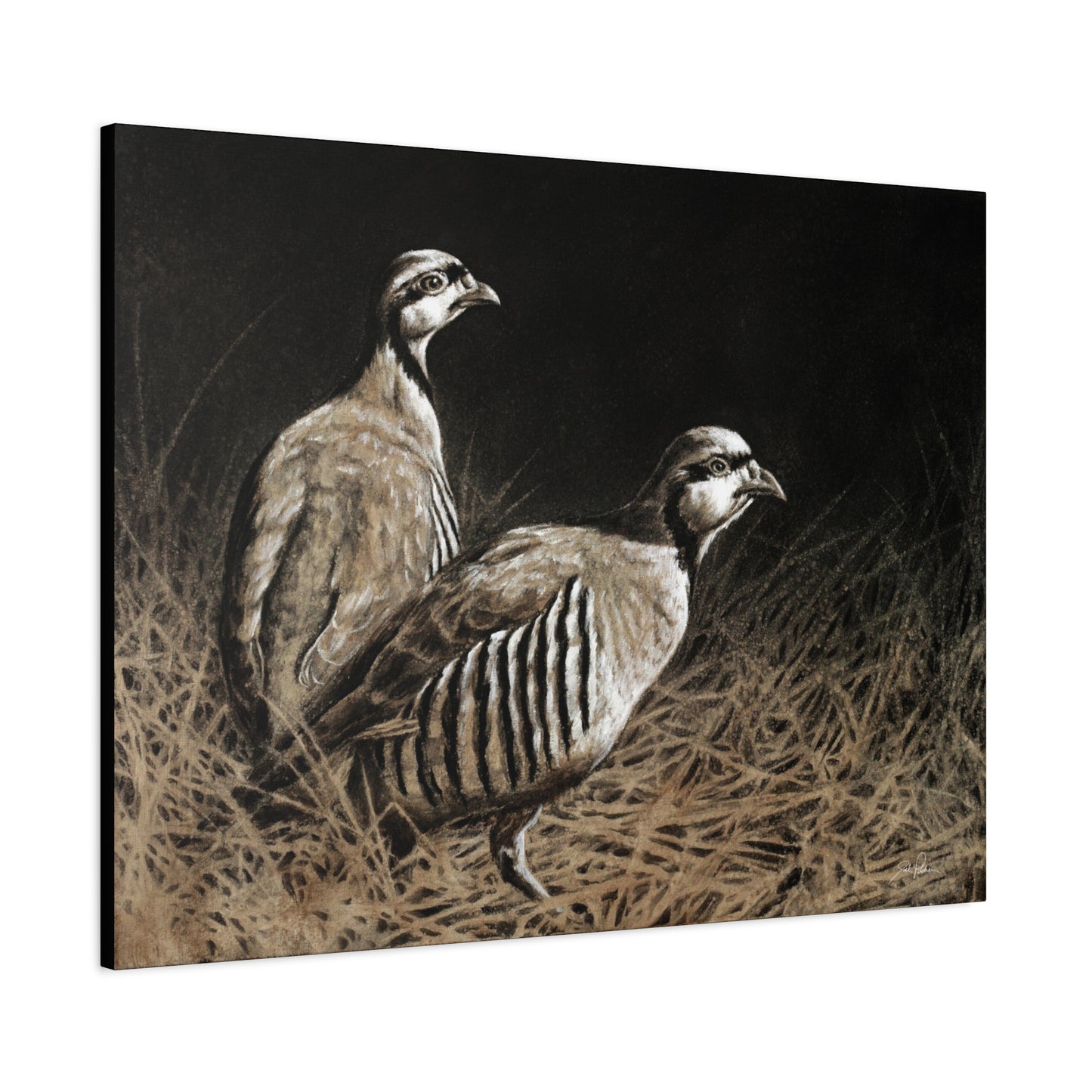 "Chukars" Stretched Canvas