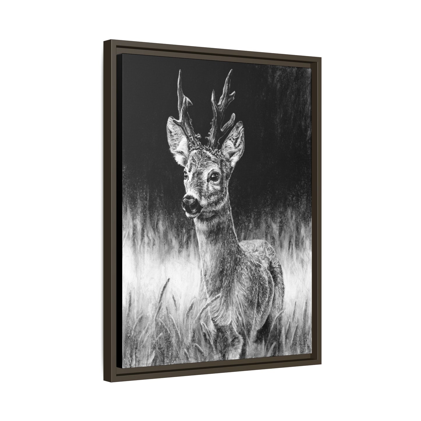 "Roe Deer" Framed Canvas
