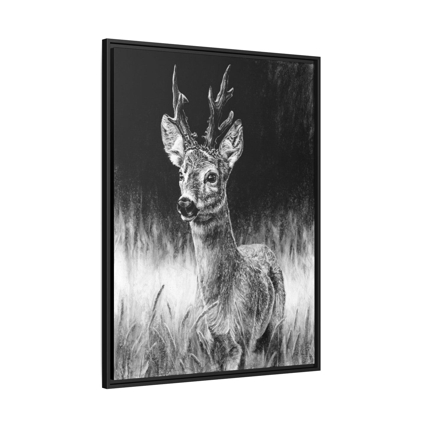 "Roe Deer" Framed Canvas