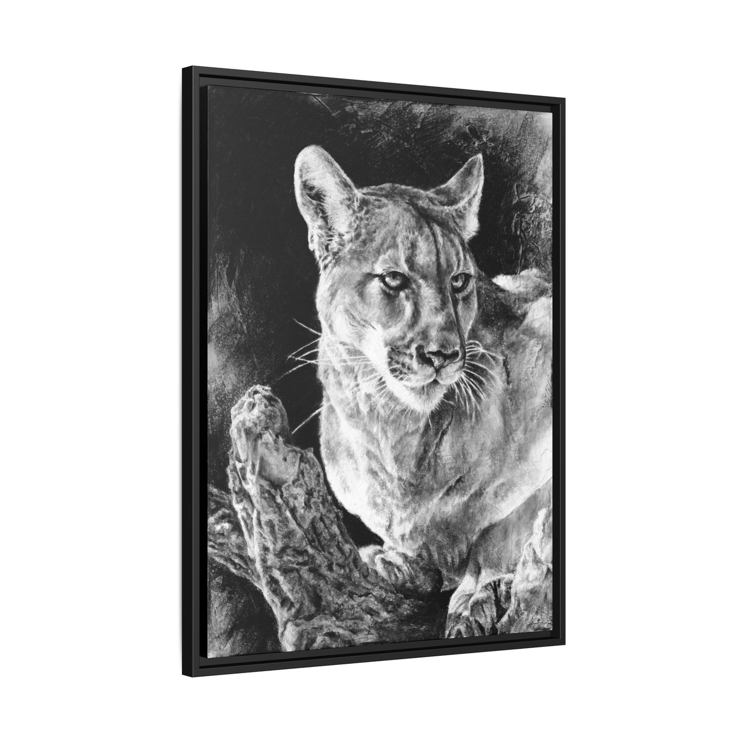 "Mountain Lion" Framed Canvas