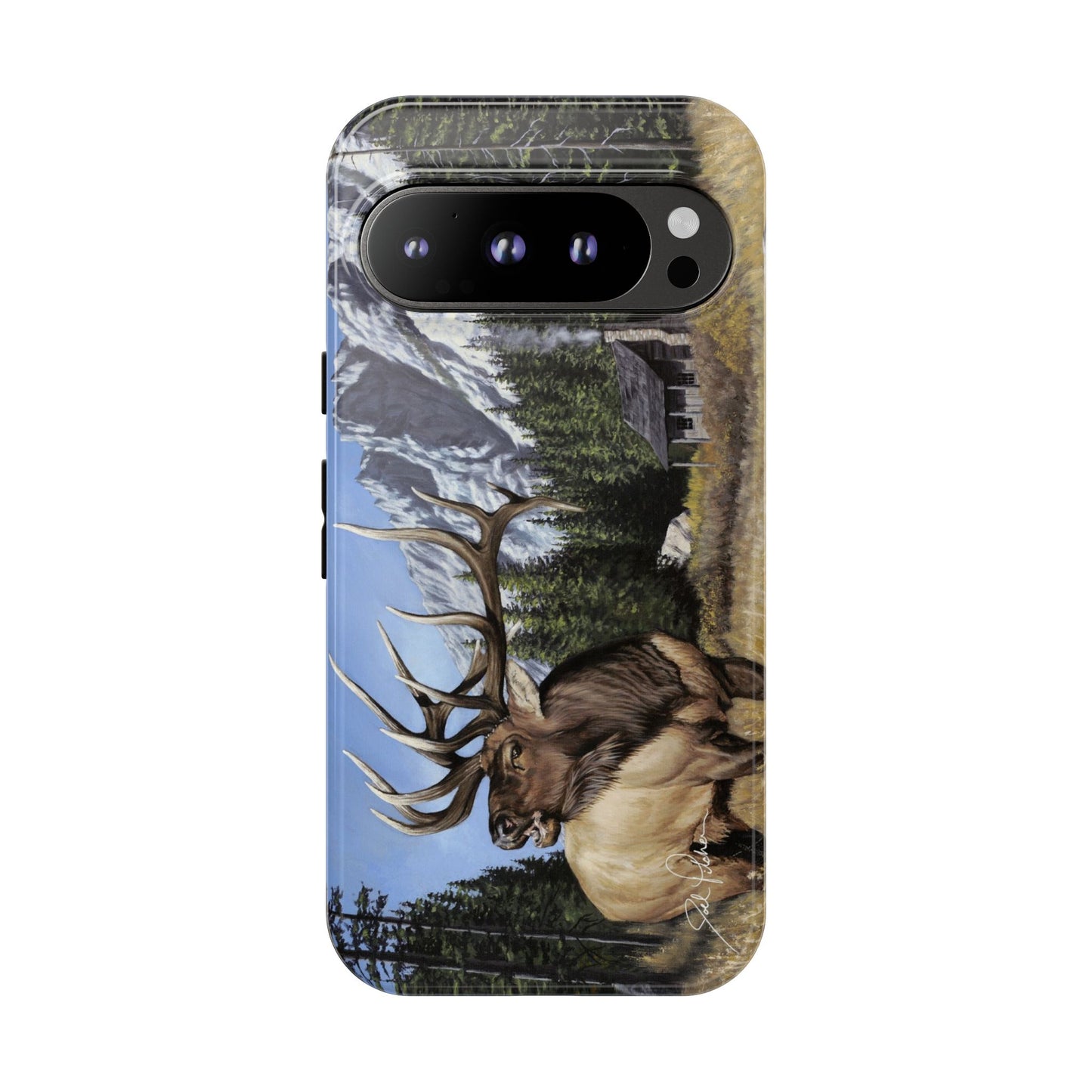 "Sanctuary" Google Pixel 9 Tough Cases