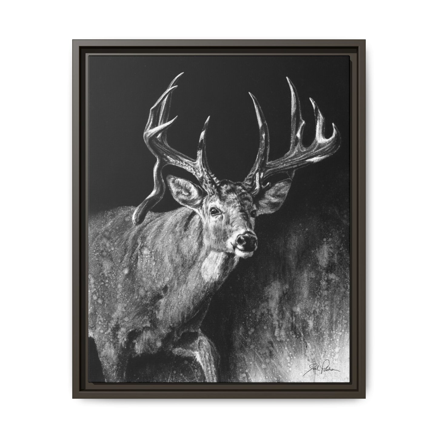 "Jaw Dropper" Framed Canvas