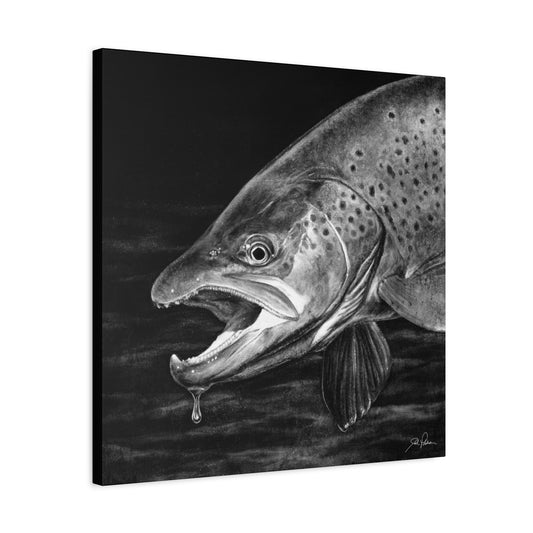 "Brown Trout" Stretched Canvas