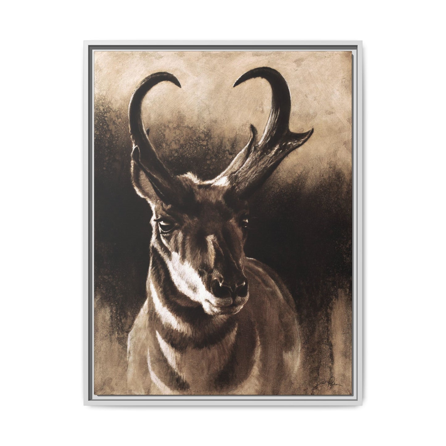 "Pronghorn" Framed Canvas
