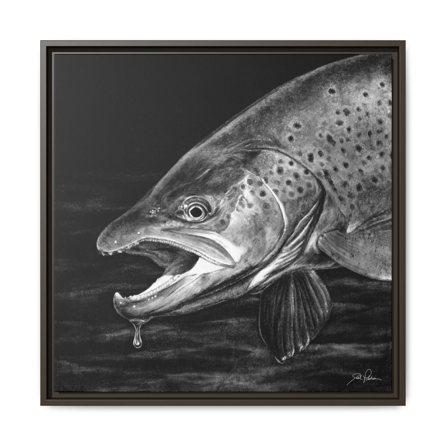 "Brown Trout" Framed Canvas