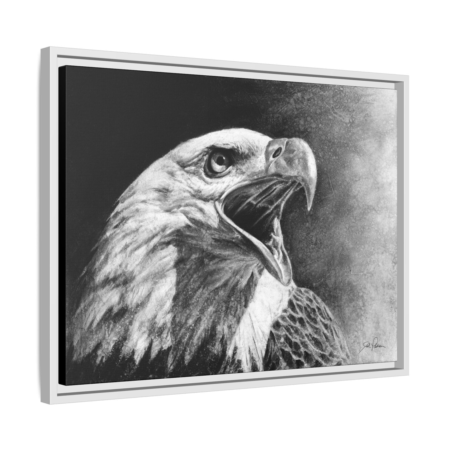 "Bald Eagle" Framed Canvas