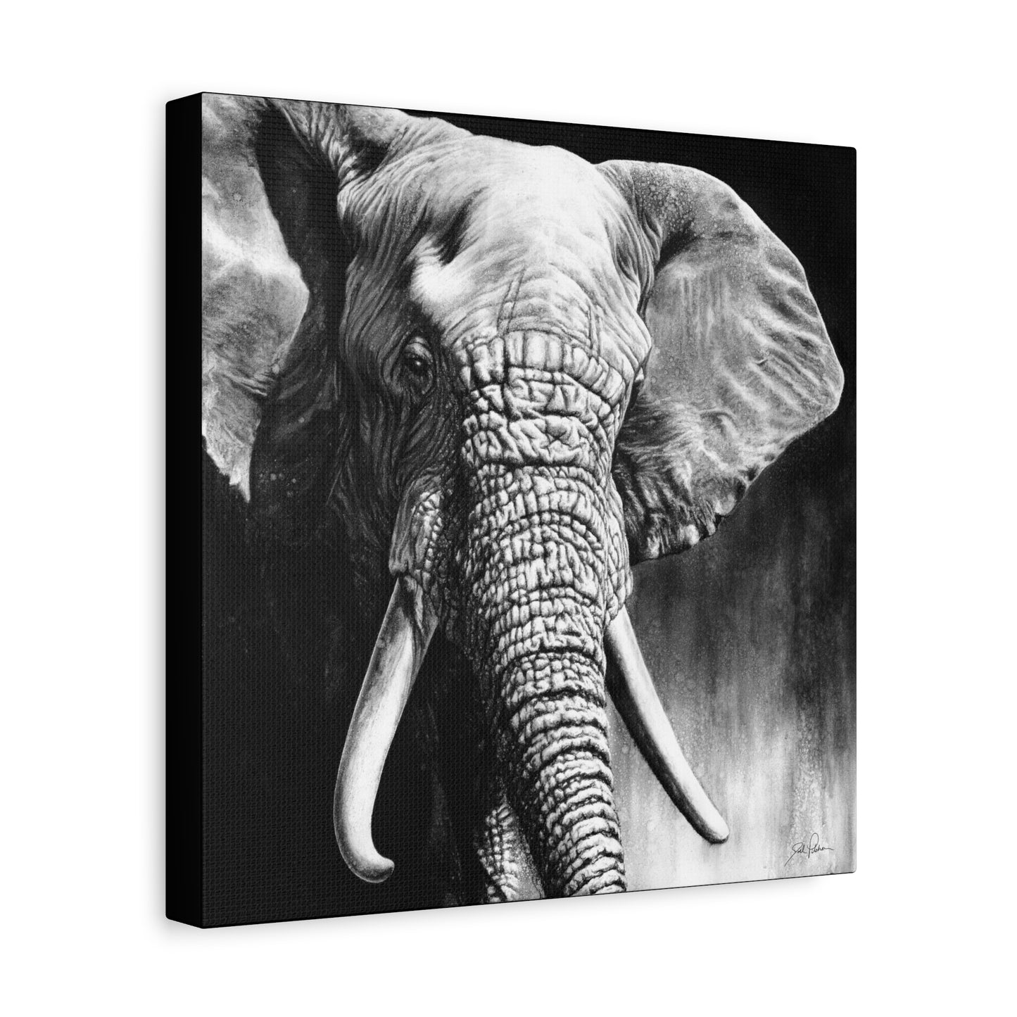"High & Mighty" Stretched Canvas