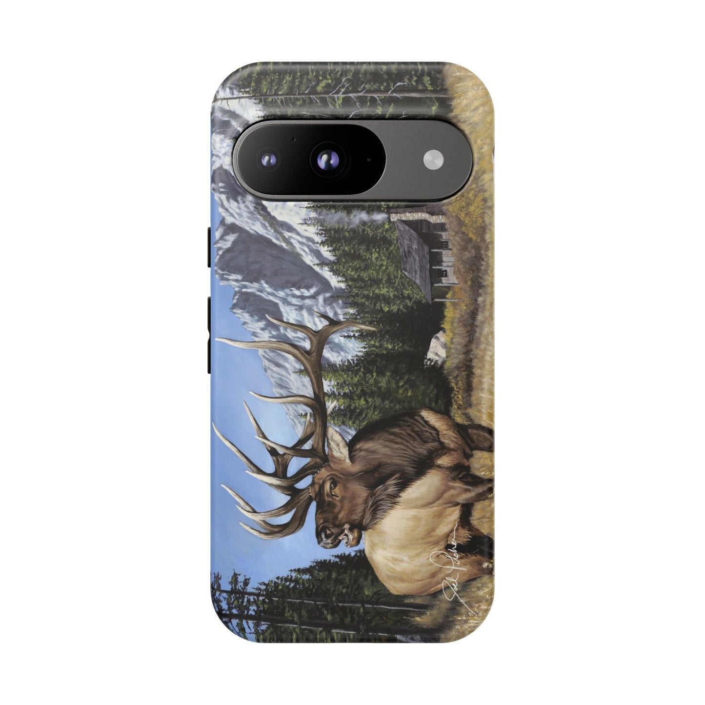 "Sanctuary" Google Pixel 9 Tough Cases