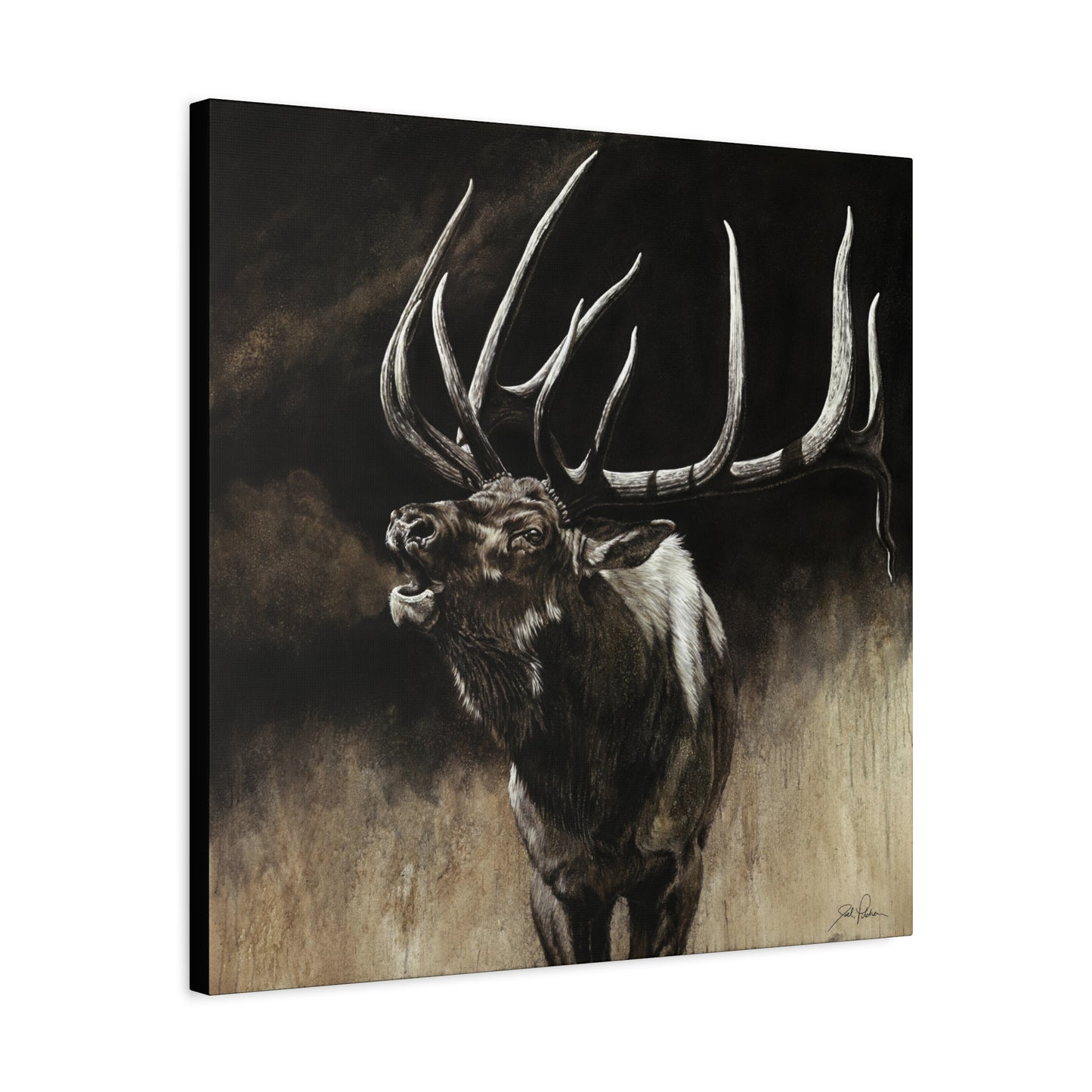 "Call of the Wild" Stretched Canvas
