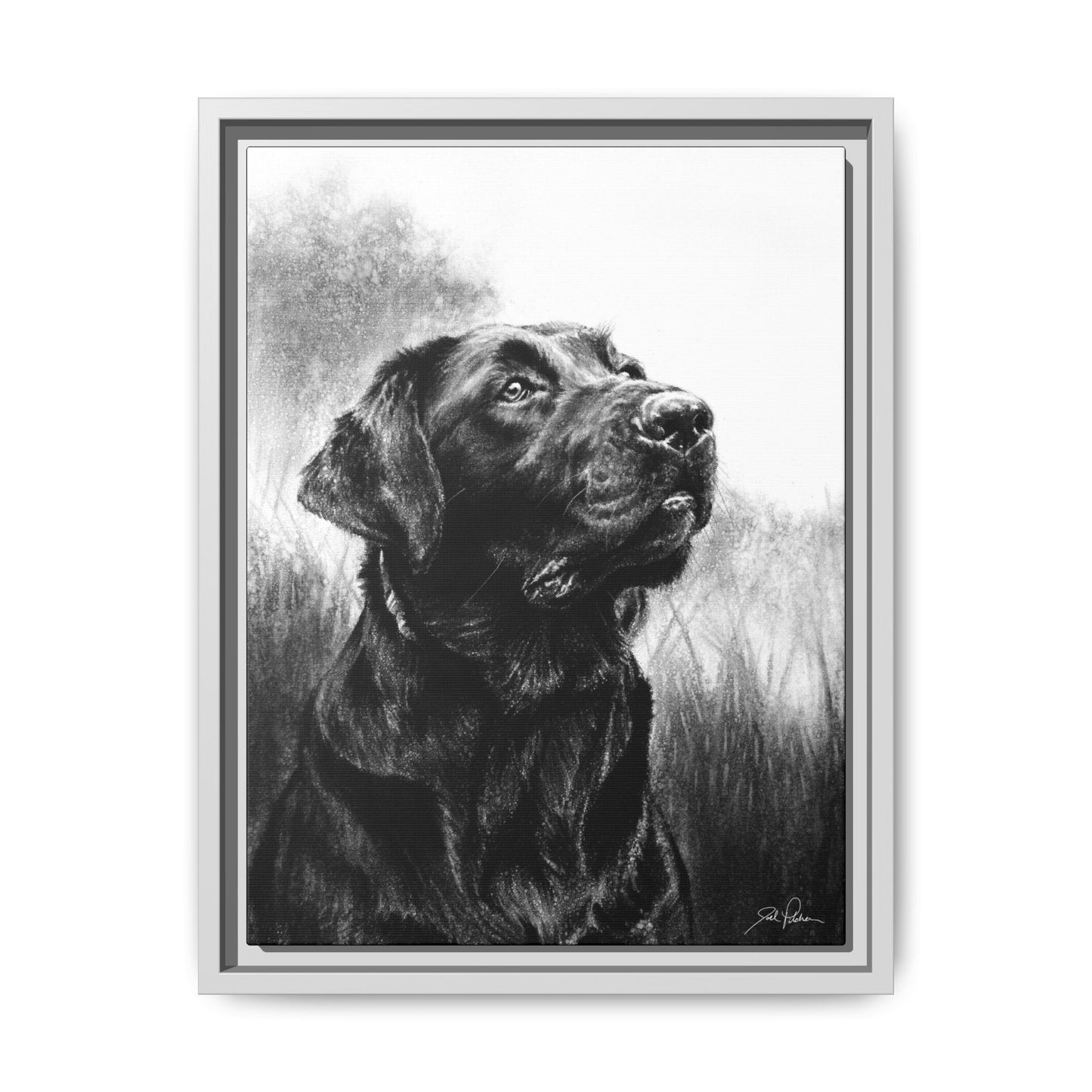"Labrador Retriever" Framed Canvas