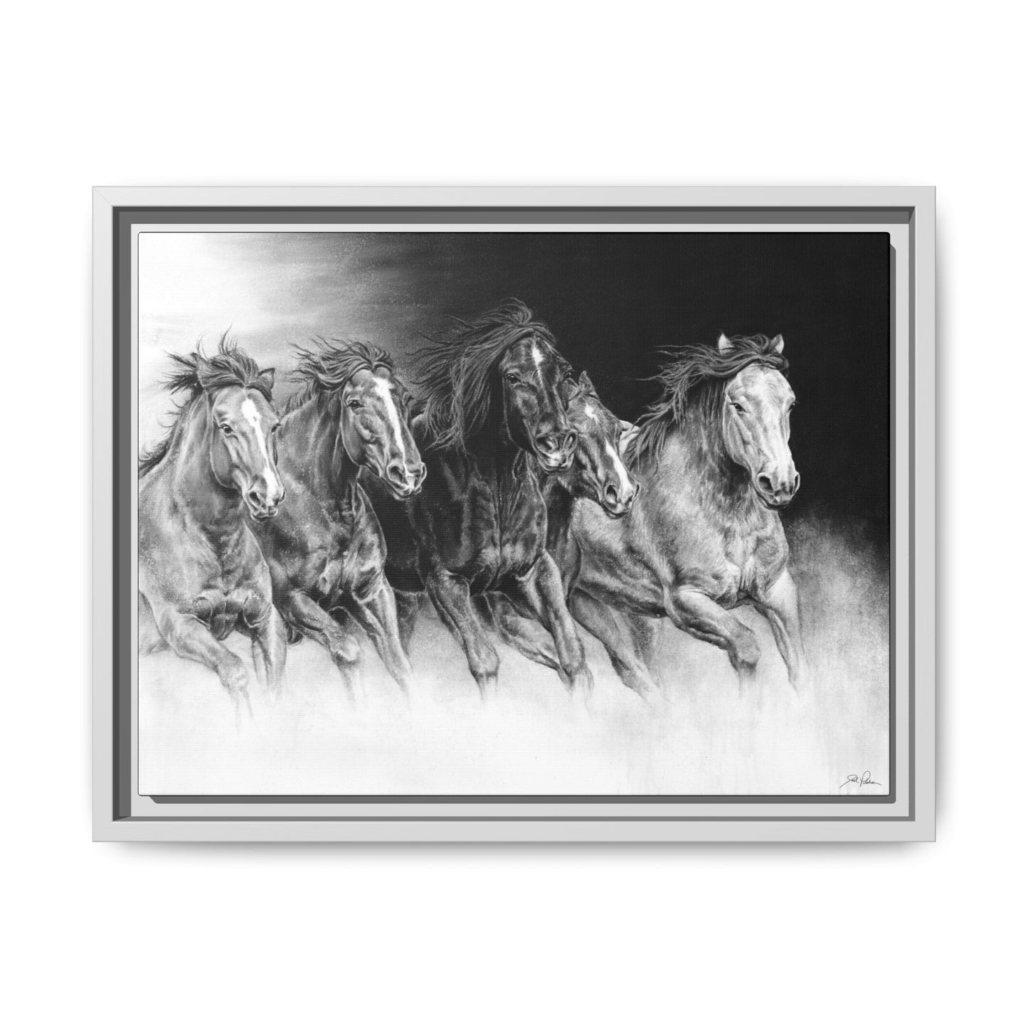 "Wild Bunch" Framed Canvas