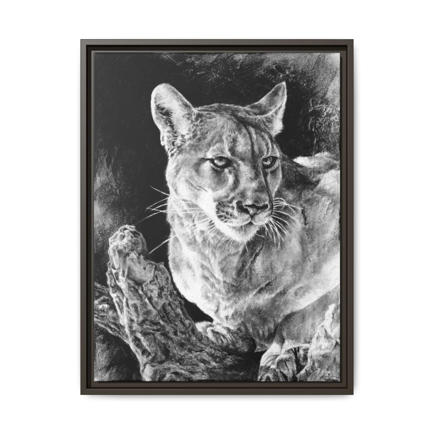 "Mountain Lion" Framed Canvas