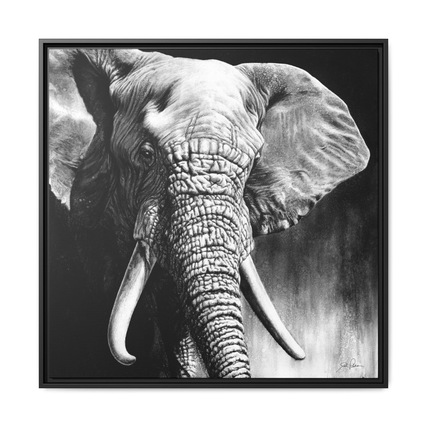 "High & Mighty" Framed Canvas