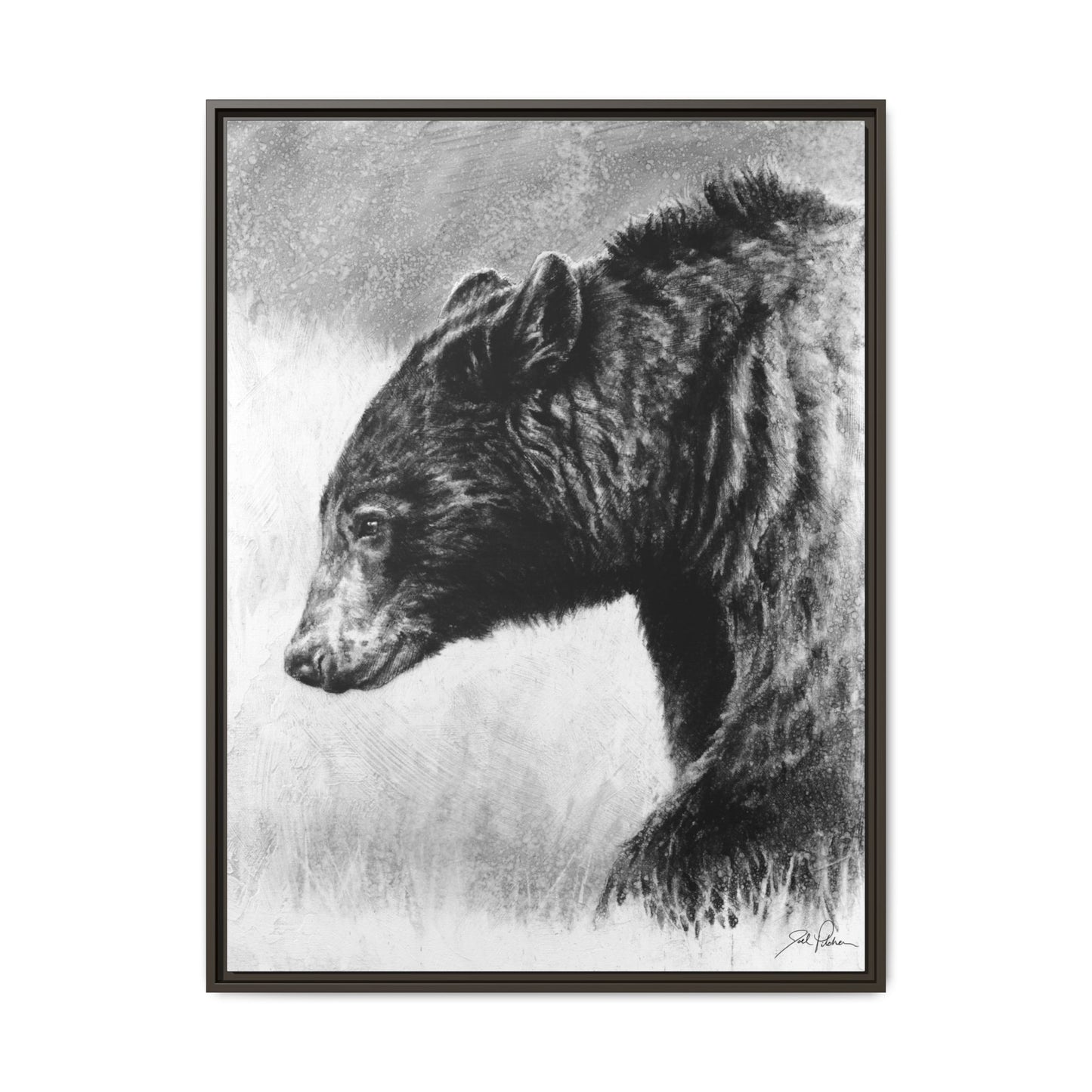"Burly Bear" Framed Canvas