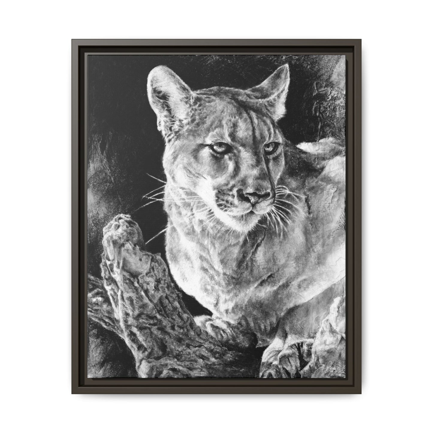 "Mountain Lion" Framed Canvas