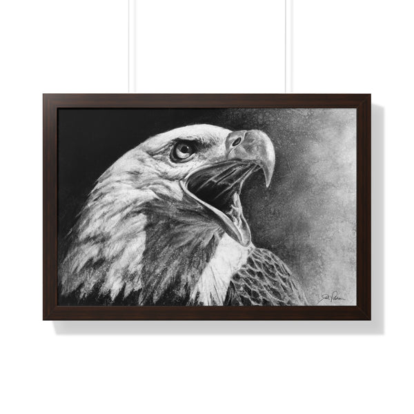 "Bald Eagle" Framed Paper Print