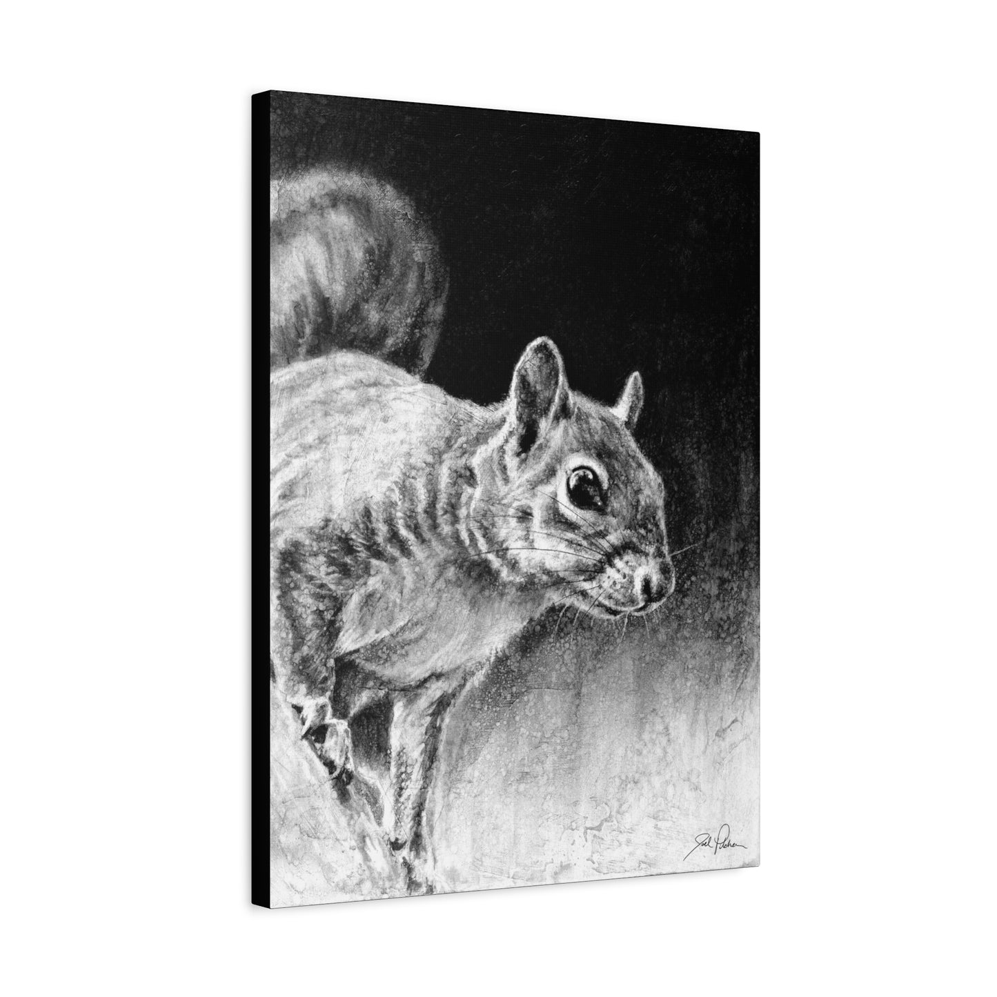 "Squirrel" Stretched Canvas