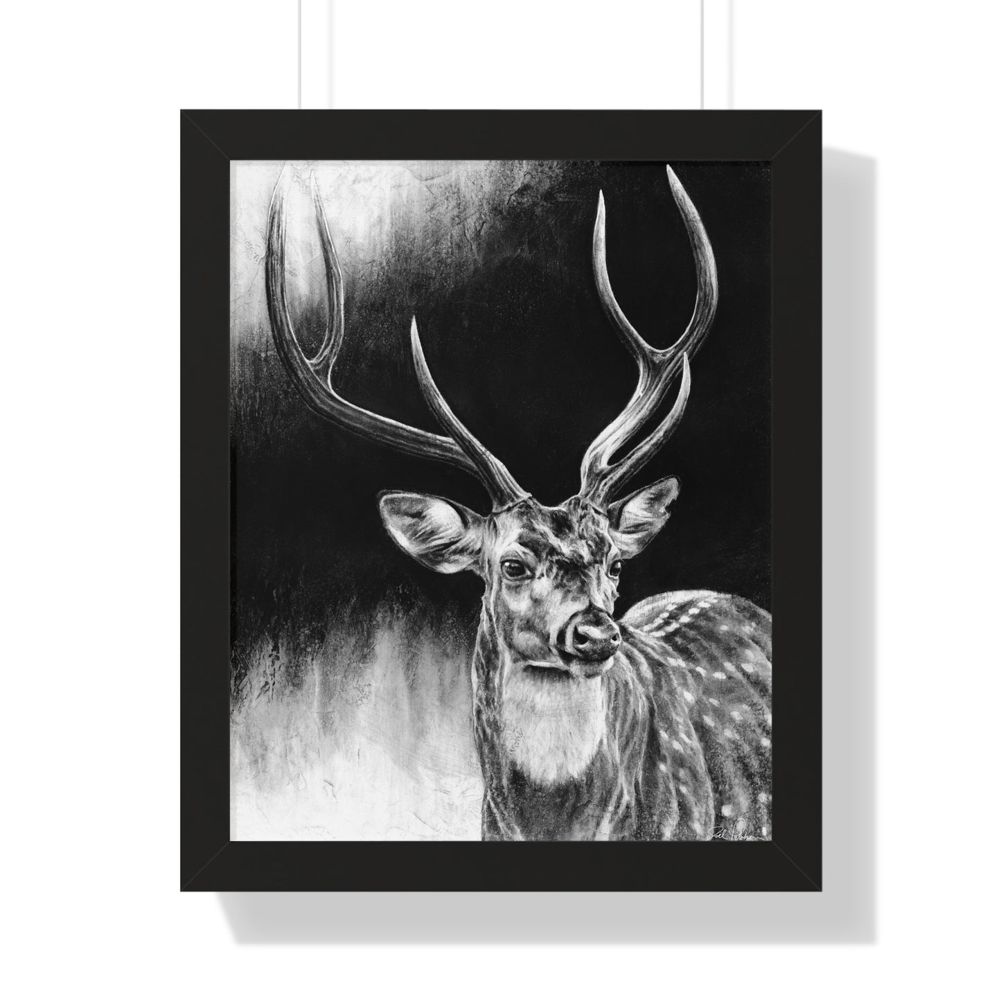 "Axis Buck" Framed Paper Print