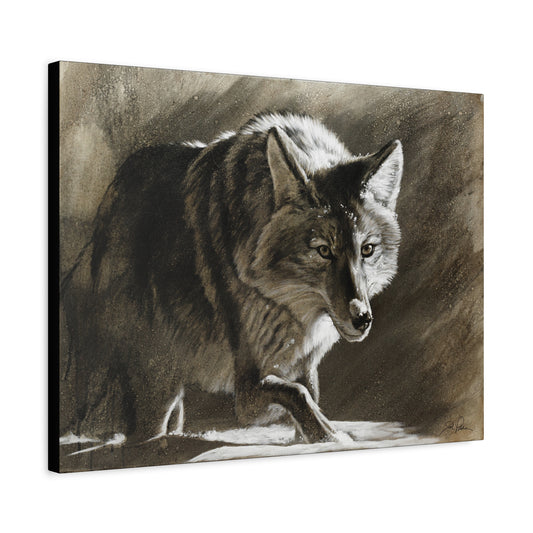 "Coyote" Stretched Canvas