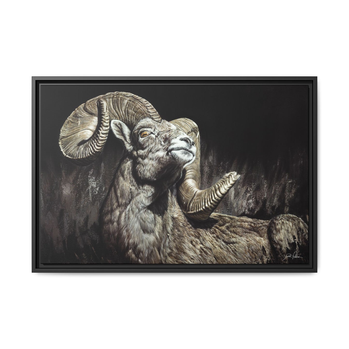 "Golden Eye" Framed Canvas