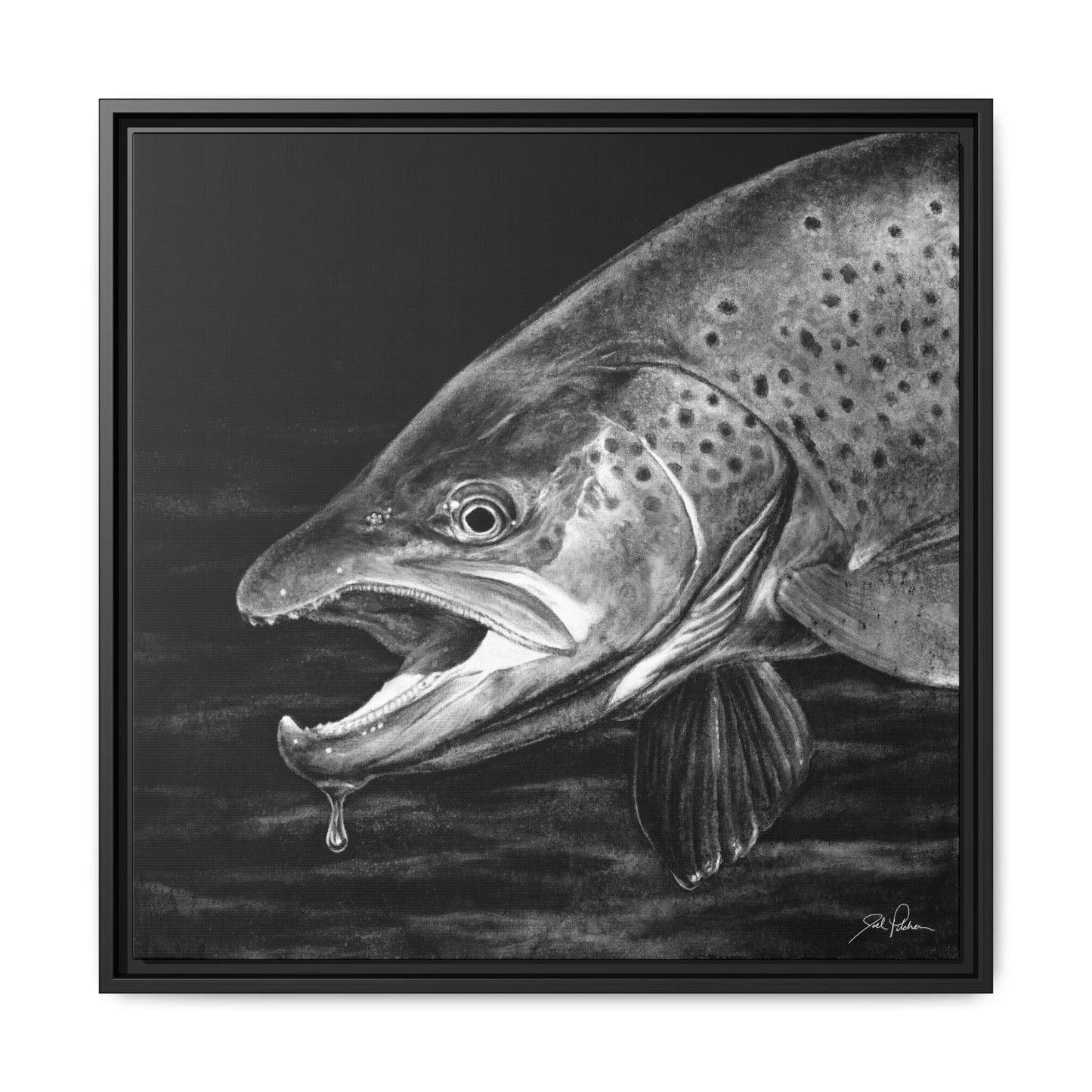 "Brown Trout" Framed Canvas